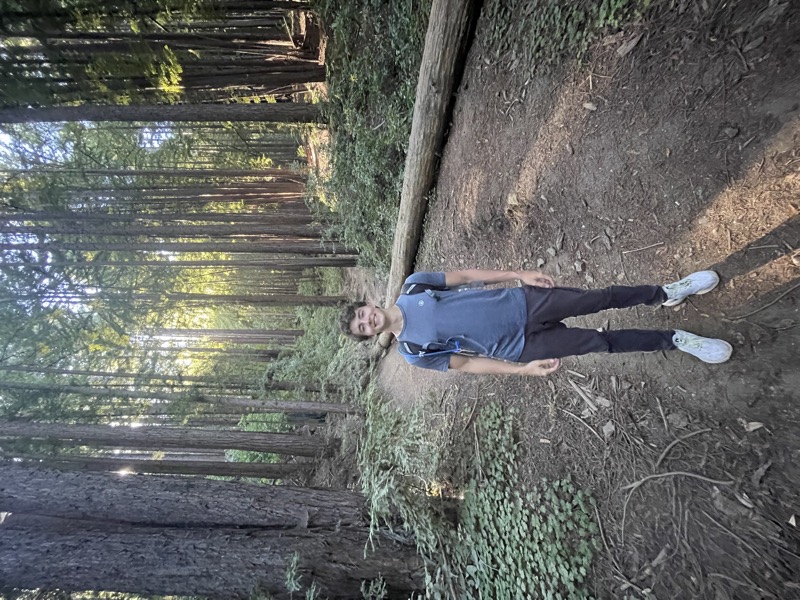 Santa Cruz forest