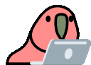 laptop_parrot