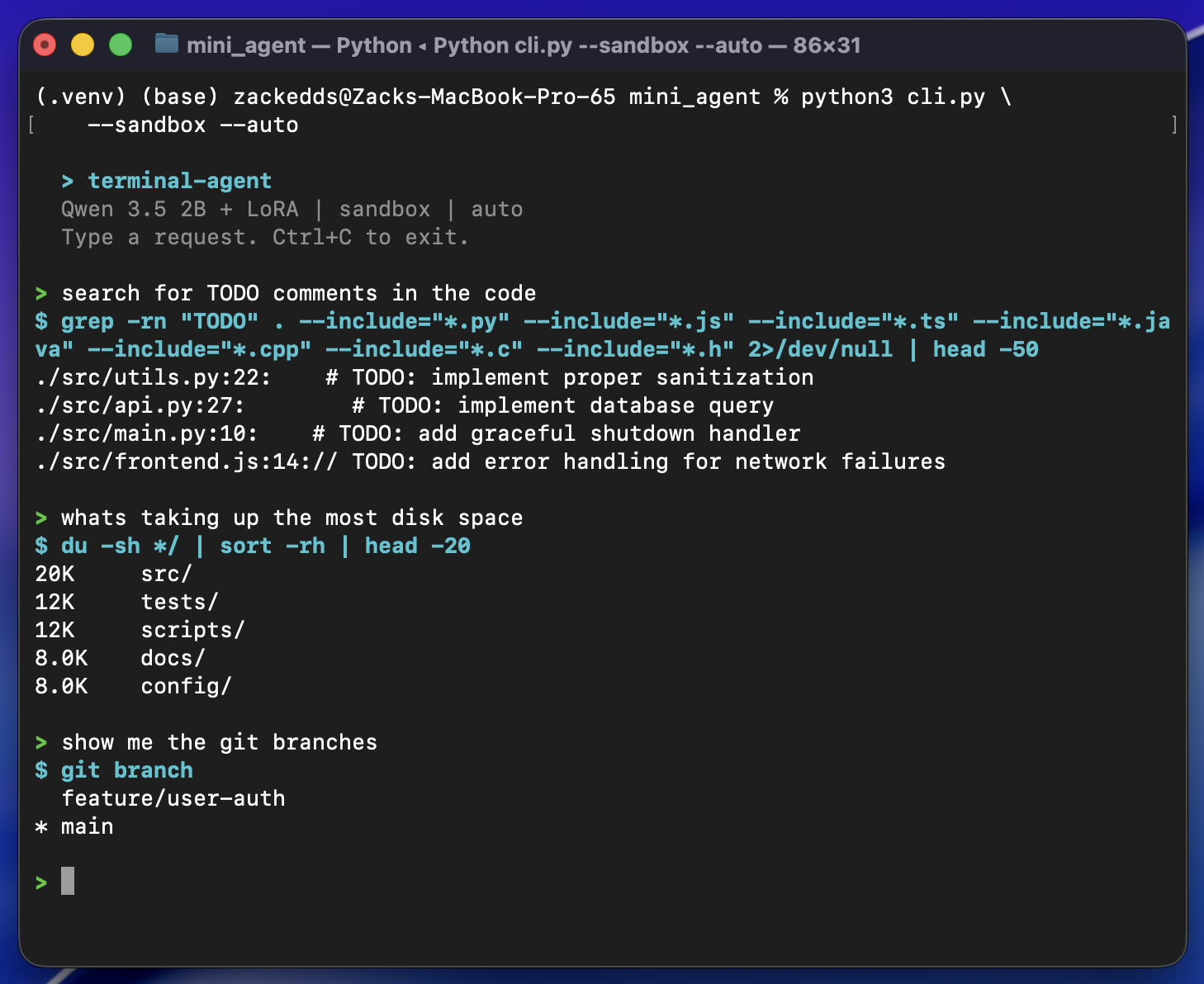 Screenshot of the terminal assistant in use